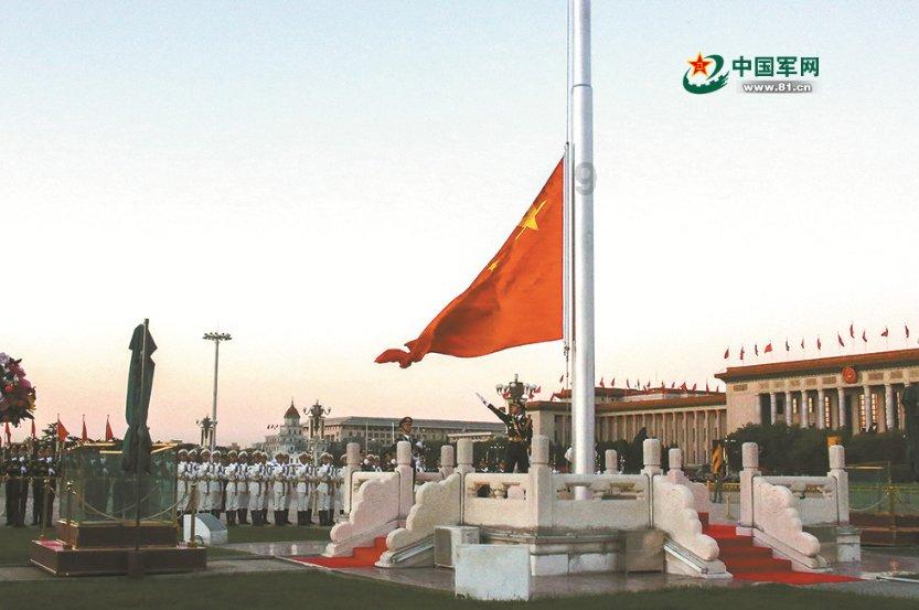 饥饿的松鼠救援